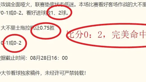 2026世女杯独家解析：美篮对决捷克，女篮争霸前瞻